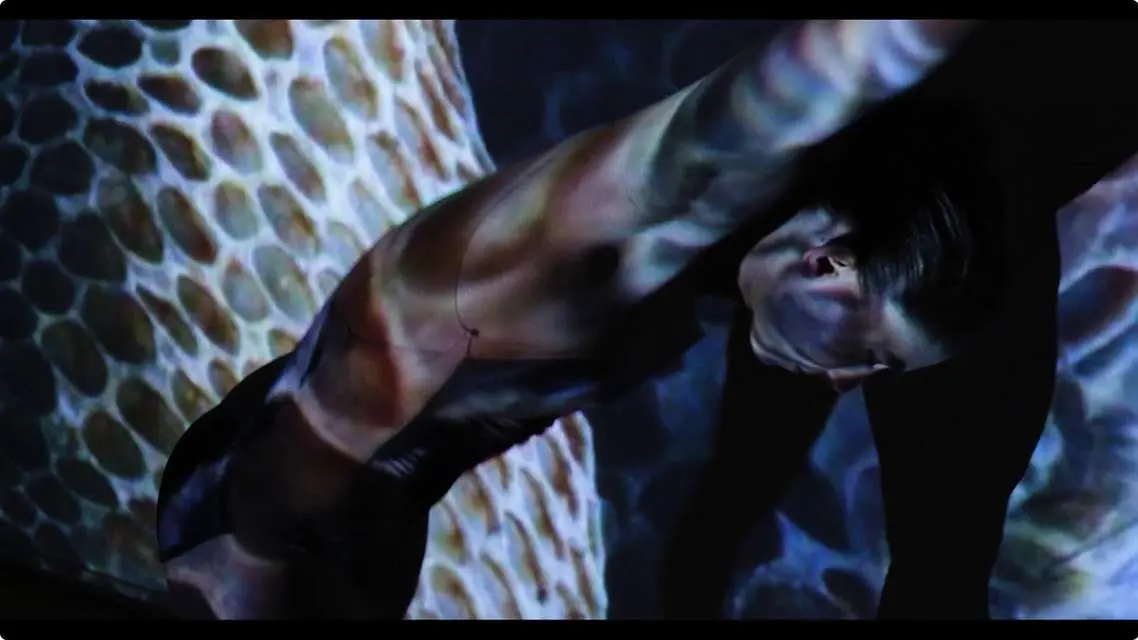 Mykonos Biennale 2015 - Film Festival - Wild Hive 2 - screen shot