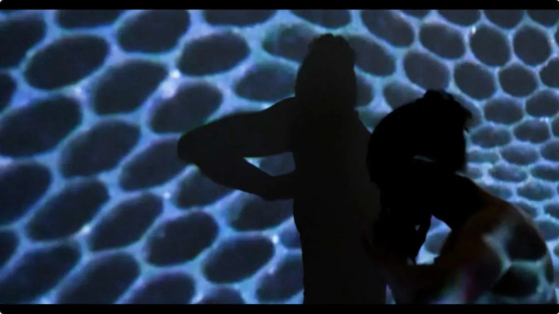 Mykonos Biennale 2015 - Film Festival - Wild Hive 6 - screen shot