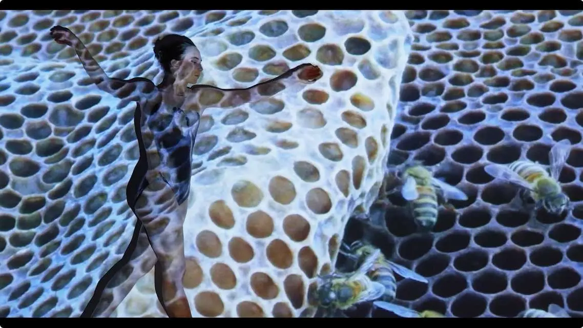 Mykonos Biennale 2015 - Film Festival - Wild Hive 9 - screen shot