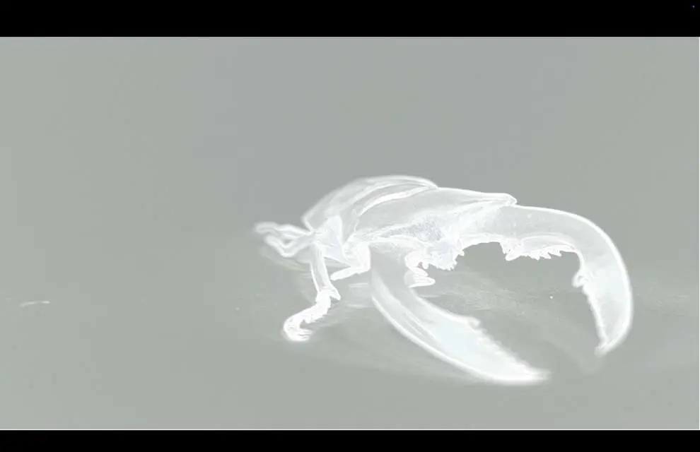 Mykonos Biennale 2015 - Film Festival - Toiler's Dirge 5 - screen shot