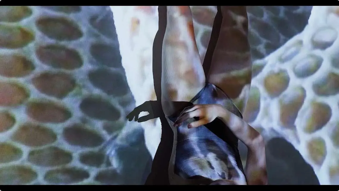 Mykonos Biennale 2015 - Film Festival - Wild Hive 7 - screen shot