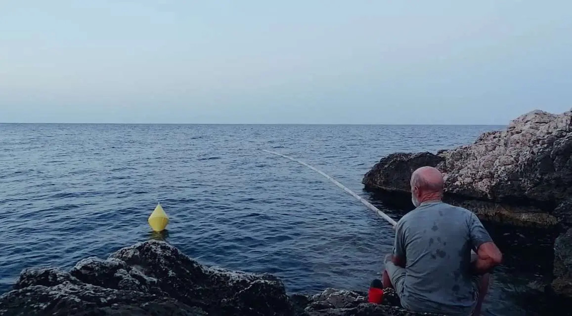 Mykonos Biennale 2015 - Film Festival - Latera 2 - screen shot